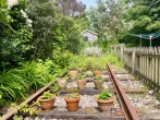 Herb garden in early summer